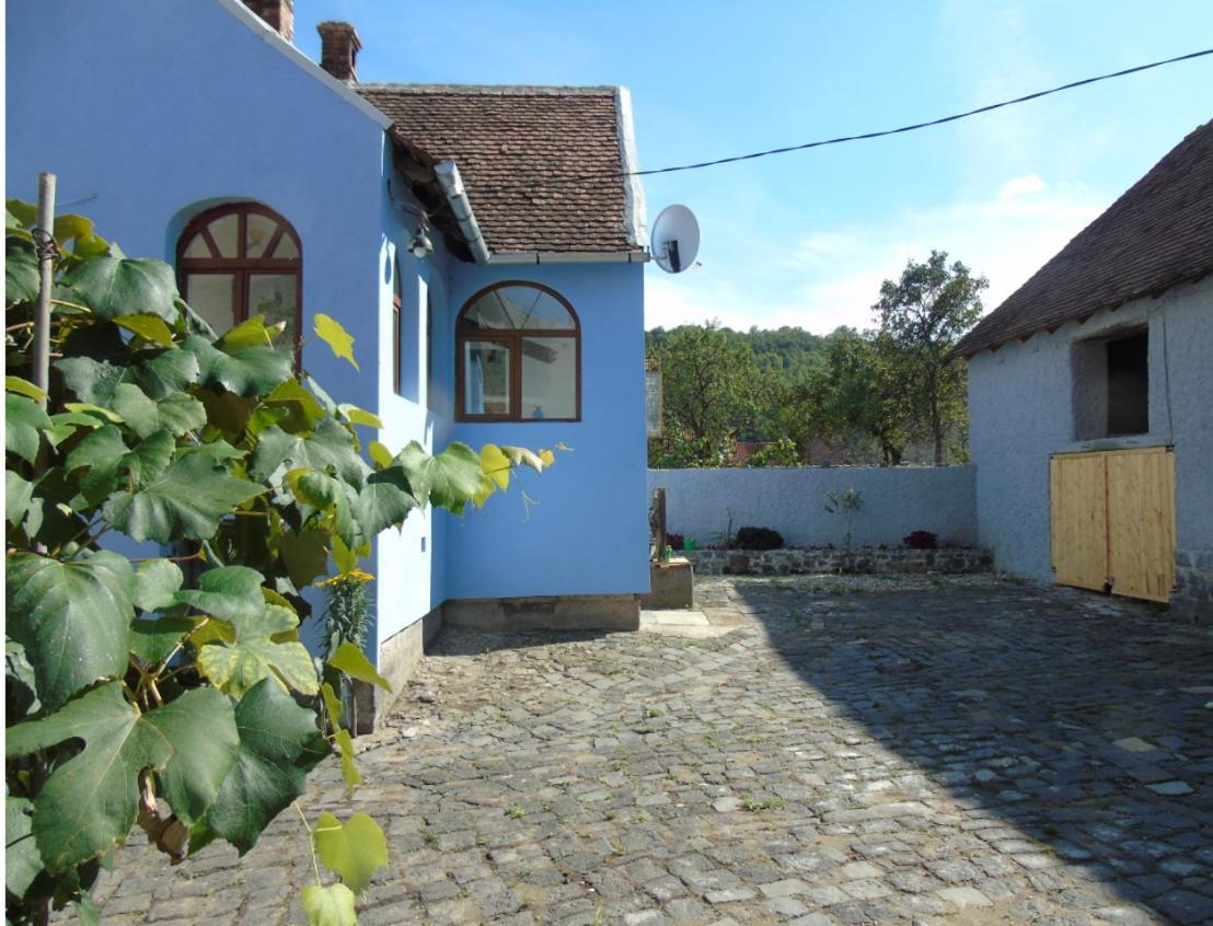 Villa The Dream House Of Racos Racosu de Jos Exterior foto